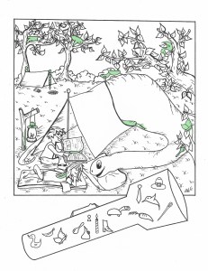 Picture or Video 031