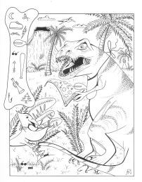 Picture or Video 010