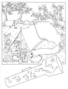 Picture or Video 014