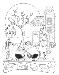 Picture or Video 017