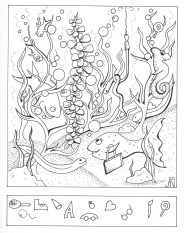 Picture or Video 019